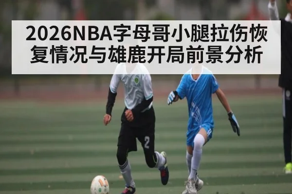 2026NBA字母哥小腿拉伤恢复情况与雄鹿开局前景分析