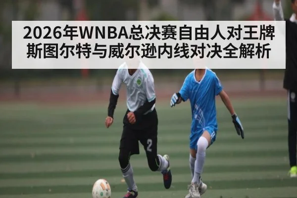 2026年WNBA总决赛自由人对王牌斯图尔特与威尔逊内线对决全解析